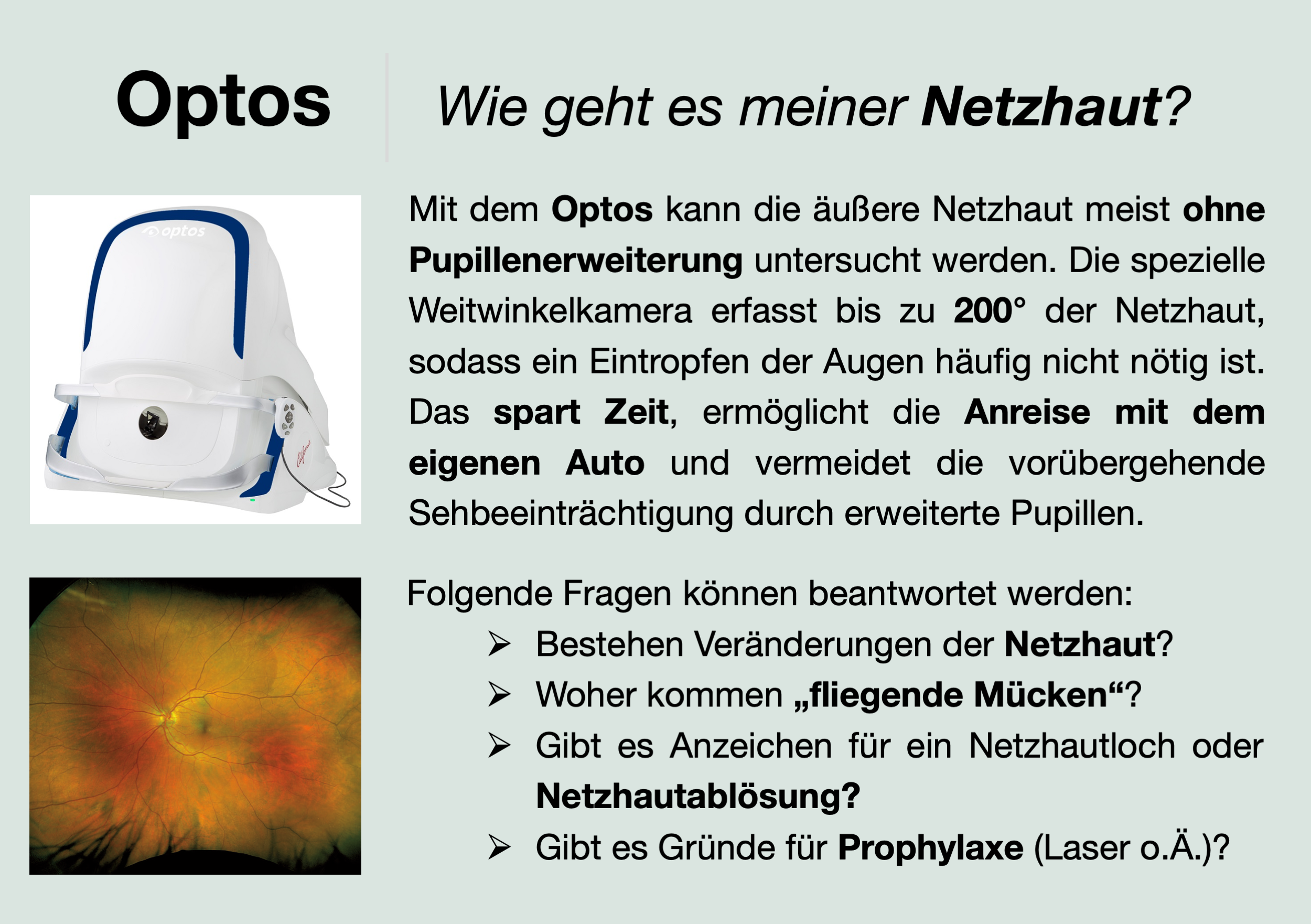 Optos – Rückseite
