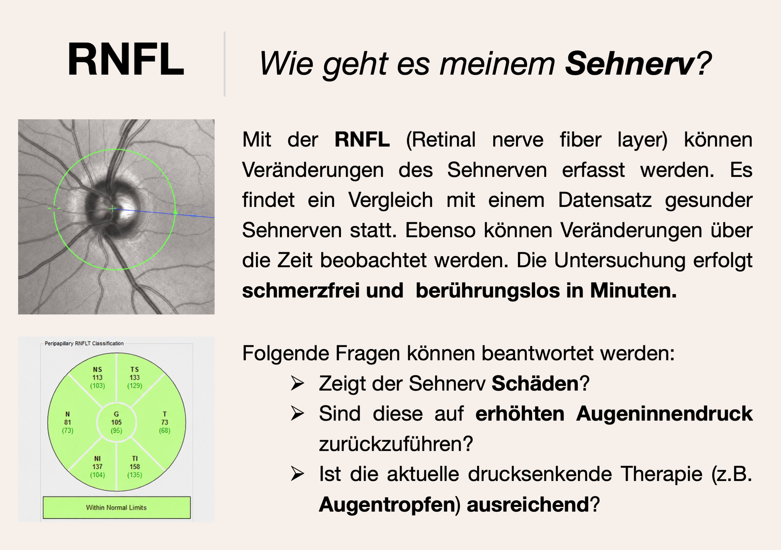 RNFL – Rückseite